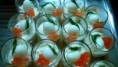 Verrines Rémoulade de Surimi et Oeufs de caille